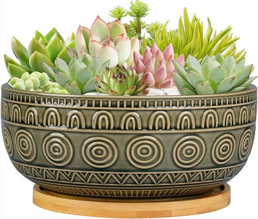 Elevate Your Succulents: 8-Inch Ceramic Planter with Drainage