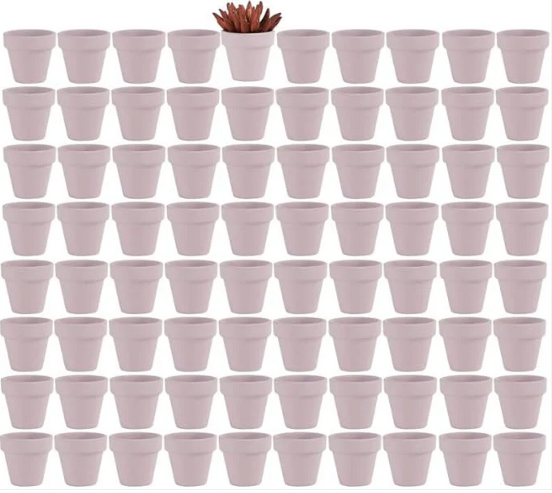 Adorable Pink Terracotta Pots: Perfect Mini Planters for Your Greenery & Crafts