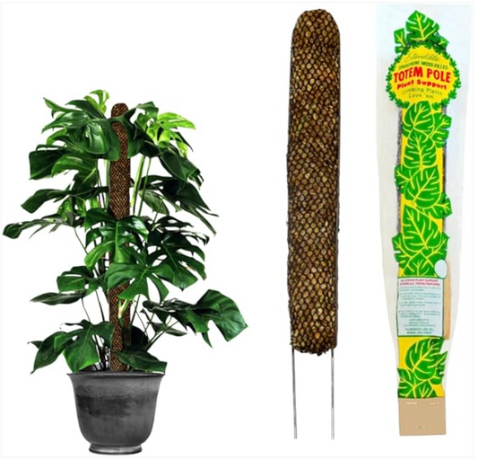 Elevate Your Plants: Enhance Growth & Stability with Mosser Lee Sphagnum Moss Pole for Indoor Plants