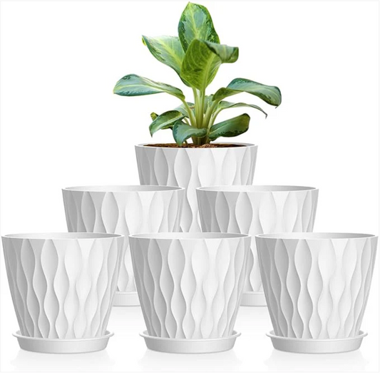 The Perfect Home for Small Plants: 6 Pack 4 Inch Small Plant Pots with Saucers