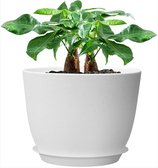 The Perfect Pot for Your Plants: A Large 12-Inch Modern Plastic Planter