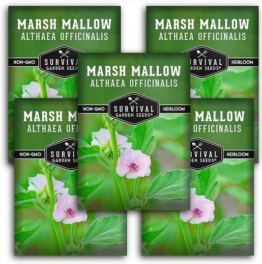 A Touch of History and Charm: Grow the Historic Marsh Mallow in Your Home Garden