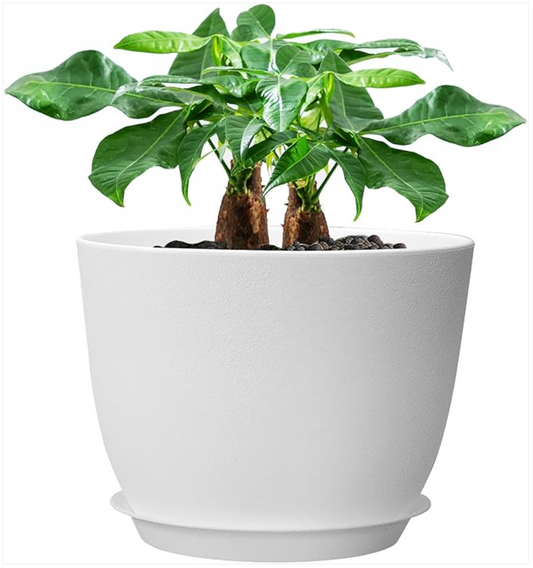 The Perfect Pot for Your Plants: A Large 12-Inch Modern Plastic Planter
