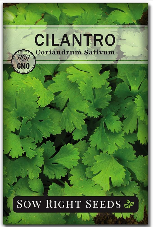 Bring Zesty Flavor to Your Kitchen with Sow Right Seeds - Cilantro Seeds for Planting!