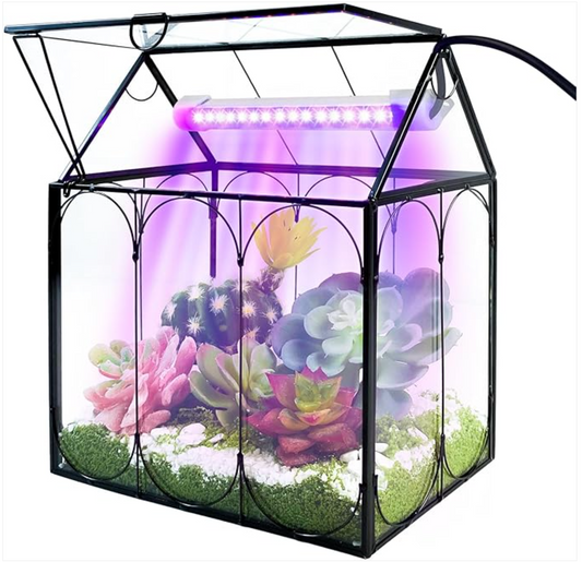The Mini-Greenhouse Solution: Rifny Plant Terrarium with Grow Light!