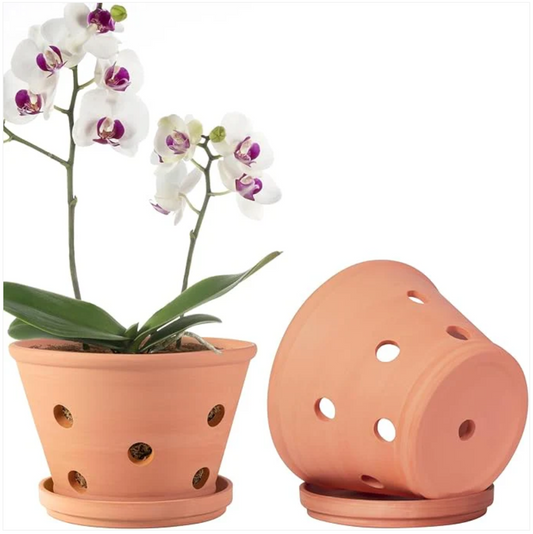 Give Your Orchids Room to Breathe: The Orceler 8 Inch Terracotta Orchid Pots!