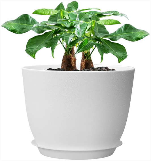 Modern Style, Healthy Roots: The 12 inch Large Plant Pot for Indoor & Outdoor!