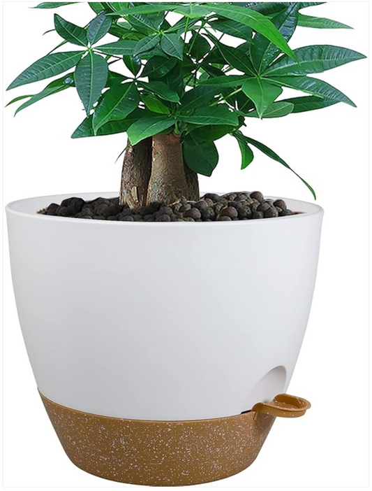 Worry-Free Watering: The 12 inch Large Self Watering Pots with Deep Reservoir!