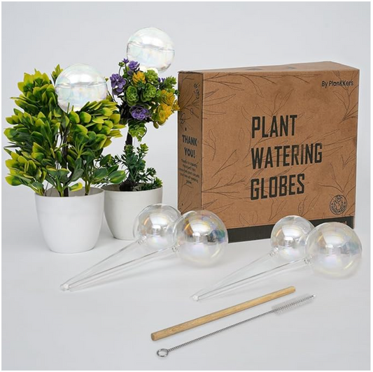Stunning and Self-Sufficient: Large 6 Pcs Iridescent Self Watering Globes!