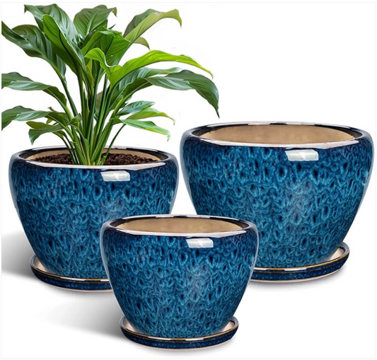 Classic Beauty, Modern Function: Ceramic Plant Pots Indoor Set of 3!