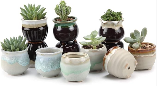 Elevate Your Minis: T4U Small Ceramic Succulent Pots with Drainage (Set of 12)!