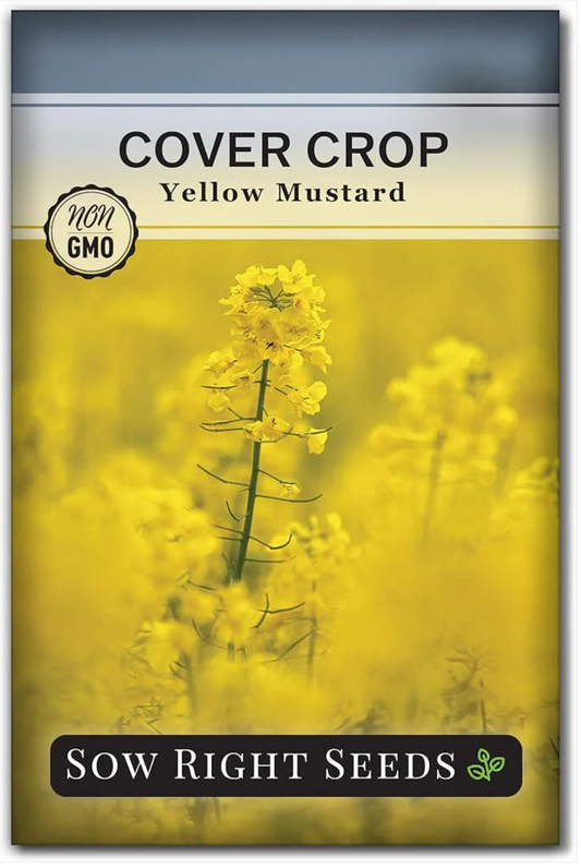 Winterize Your Garden Smarter: The Power of Sow Right Seeds - Yellow Mustard Seed for Planting