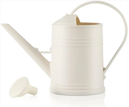 Perfect Hydration Made Easy: The Ideal Watering Can for Indoor Plants