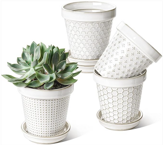Scandinavian Serenity: The LE TAUCI Ceramic Plant Pots Set for Effortless Decor
