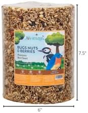 JCs Wildlife Bugs Nuts and Berries Premium Bird Seed Large Cylinder with Hole, 3.8 lb (6)