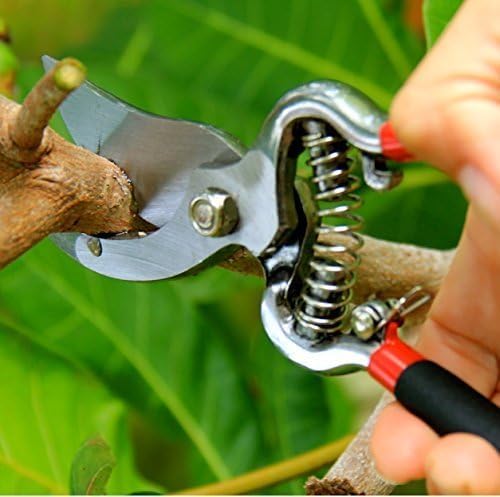 Garden Guru Classic Bypass Pruning Shears Clippers – Heavy Duty Forged Steel Pruners – Non Slip Comfort Grips – Cuts up to 1” Diameter – Professional Bypass Pruners Black - 1 Case (60 Pcs)