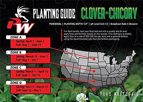 | Clover/Chicory | Select Seed Blends | All Season Whitetail Deer and Turkey Perennial Food Plot Seed | Drought Resistant | Easiest Turkey and Deer Feeders | 5 lb Bag | 2-Pack