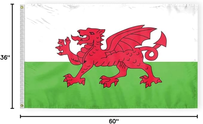 AGAS Wales Flag 3x5 ft Double Stitched Hem 100% Polyester Metal Grommets Indoor Welsh National Flag