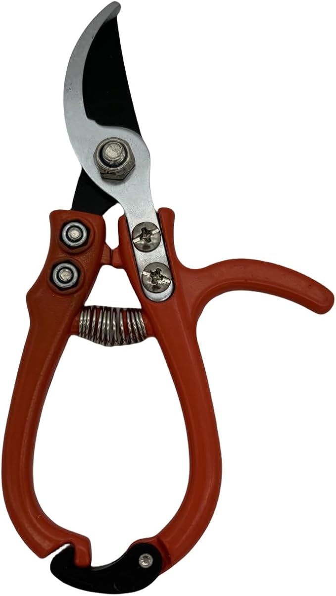 Upgrade Your Gardening Tools with Modern Pruning Shears – Precision Herb Snips, Flower Cutting Scissors, and Easy-Lock Safety Catch for Effortless Trimming.