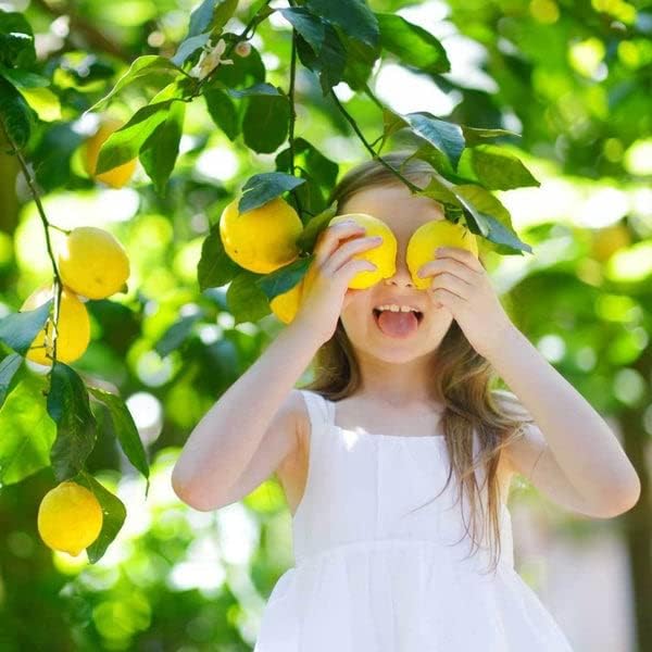 The Ultimate Soil Mix for Perfectly Tangy Citrus Limon Trees - Discover Gardenera's Revolutionary Lemon Tree Potting Mix - [1 Quart Bag]