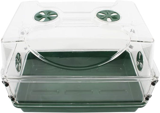 EarlyGrow 93763 Medium Seed and Herb Domed Propagator with Vented Side Height Extension, Green