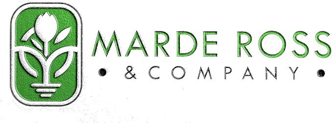 Grandpa OTT Purple Morning Blooming Vine Seeds - Approximately 165 Seeds