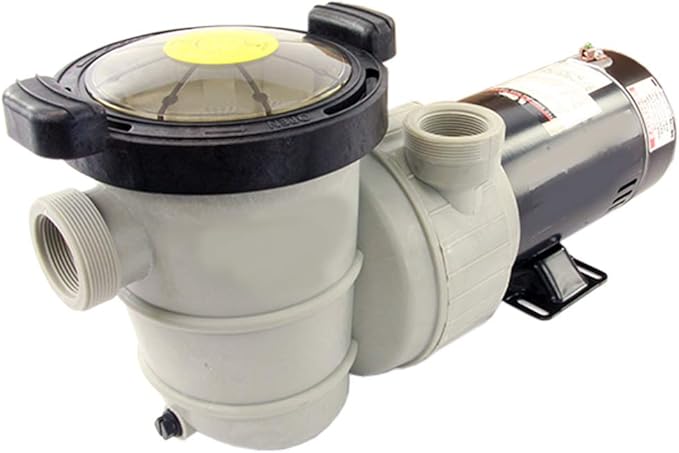 Rx Clear Dorado 1 HP Dual Port Pump | Above-Ground Swimming Pool Pump | 115V 7.3 Amps | See-Through Strainer Cover | Energy Efficient | Low Maintenance