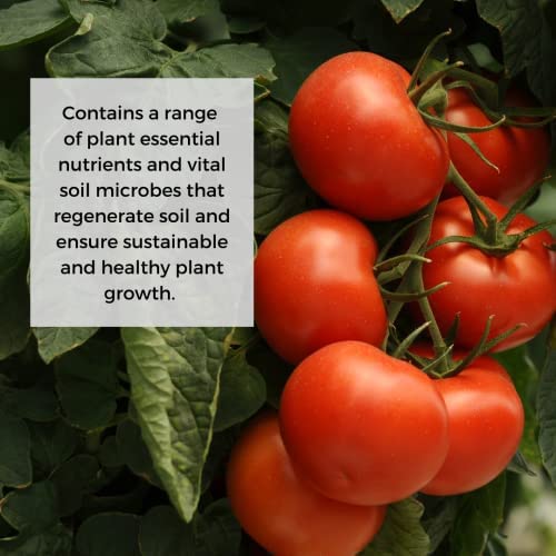 Ecoworm Soil Extract Concentrate - Organic Vermicompost Fertilizer for Fruits & Vegetables - 35 fl oz (Makes 53 gallons)