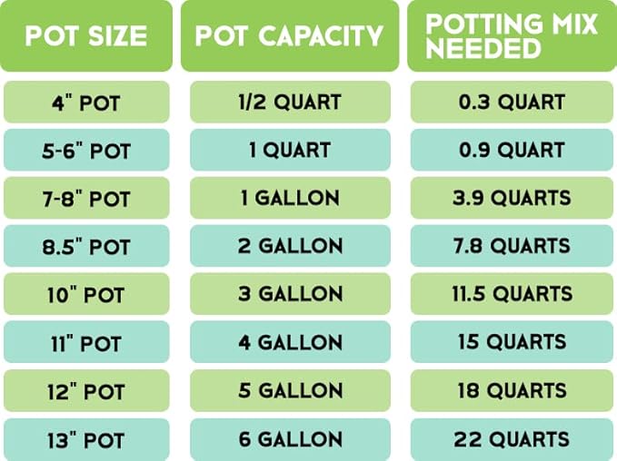 Money Tree Soil (4 Quarts), Soil Mix for Planting or Repotting Money Tree, Soil Blended to Properly Grow Money Tree Plants