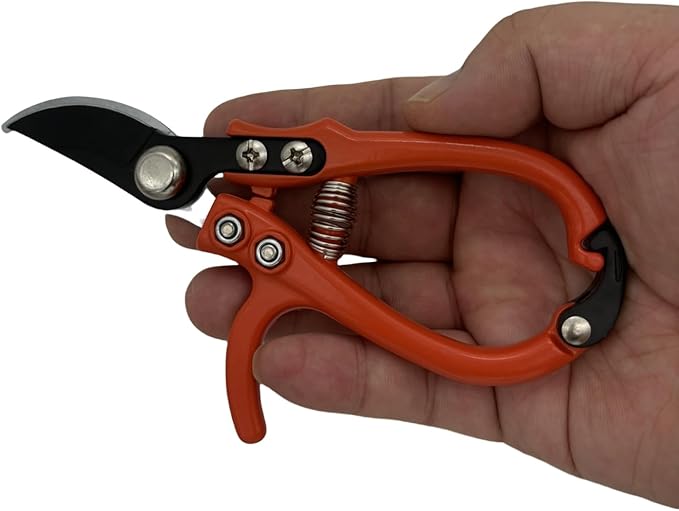 Upgrade Your Gardening Tools with Modern Pruning Shears – Precision Herb Snips, Flower Cutting Scissors, and Easy-Lock Safety Catch for Effortless Trimming.
