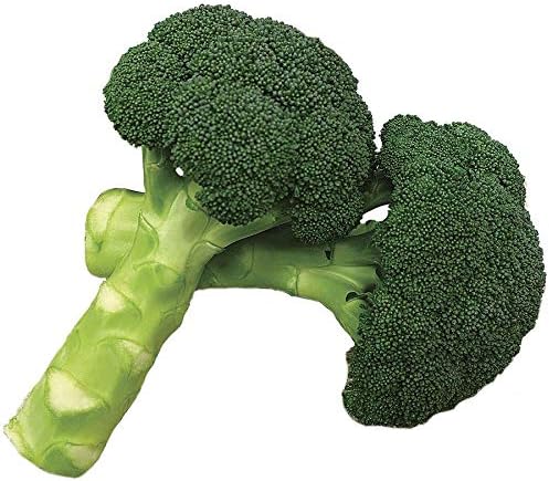 Park Seed Variety of Broccoli Plant Seeds, Easy to Grow, Perfect for Garden, Green Magic Hybrid Broccoli Seeds, Pack of 100 Seeds