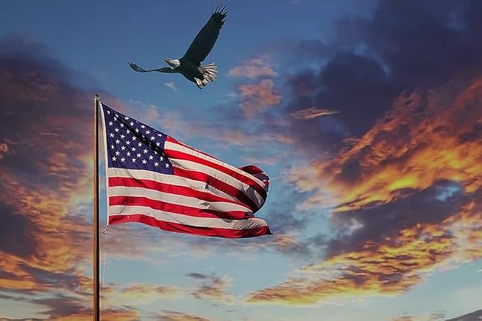 American Flag 3x5ft Long Lasting for Outside, Heavy Duty Nylon, Embroidered Stars, Brass Grommets, Perfect for Outdoor US Flags Show Your Patriotism