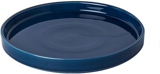 Ceramic Flower Pot Saucers, 9 Inch Plant Pot Saucers for Indoors Plants, Plant Trays for Pots Holding Water Drips and Soil, Drainage Tray for Plant Pot (Blue)