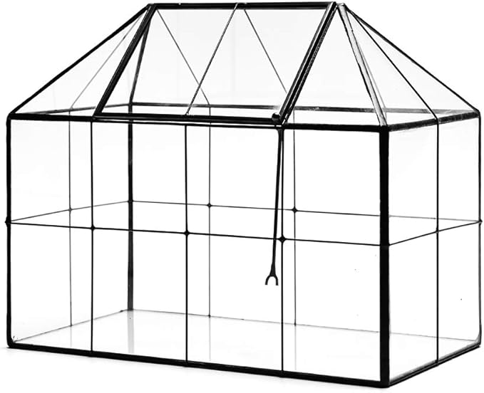 Large Glass Terrarium House Planter – Succulent Plant Glass Greenhouse with lid 9.8"X7.9"X5.9" NA