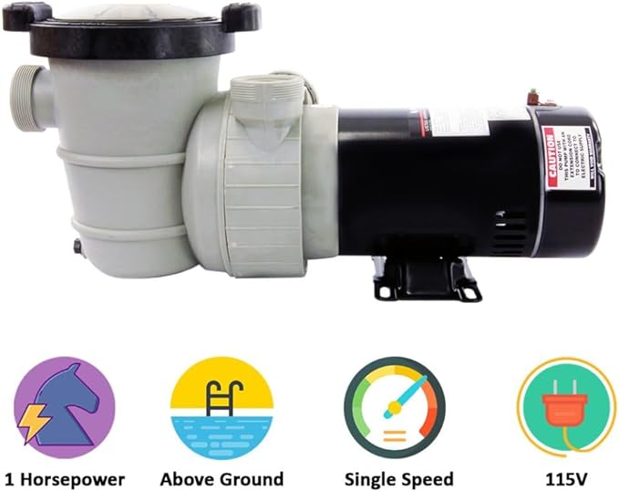 Rx Clear Dorado 1 HP Dual Port Pump | Above-Ground Swimming Pool Pump | 115V 7.3 Amps | See-Through Strainer Cover | Energy Efficient | Low Maintenance