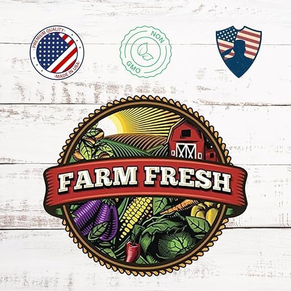 Pumpkin Seeds for Planting - to Plant Connecticut Fields Pumpkins - Large 200 Count Packet!