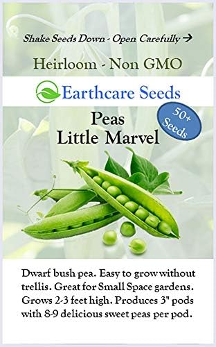 Peas Little Marvel Sweet Dwarf Bush Pea 50 Seeds (Pisum sativum) No GMO – Open Pollinated - Heirloom