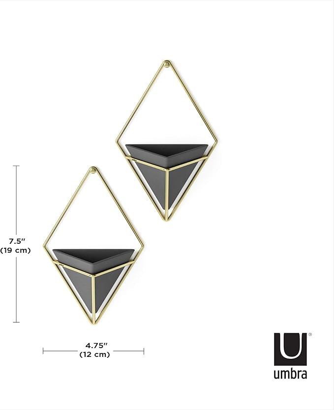 Umbra Trigg Hanging Planter Vase Wall Decor, Set of 2 Pots Containers for Succulents, Cactus, Faux Plants, and More, Small, Black/Brass