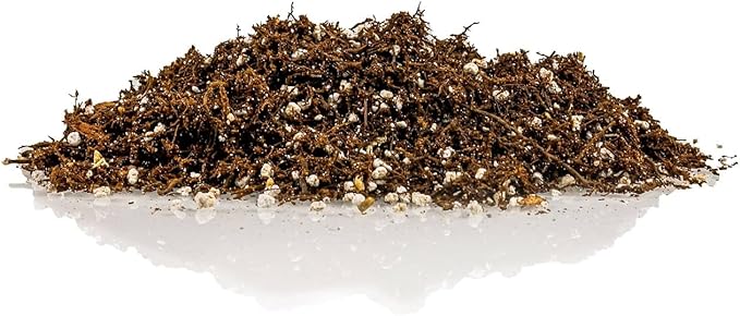 Premium Organic Potting Soil, Succulent & Cactus Soil Mix, Fast Draining Pre-Mixed Blend - Horticultural Perlite (25%) + Peat Moss (75%) - Made in USA - 5 Quart