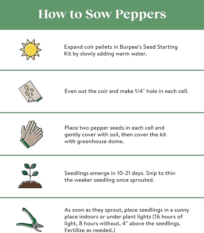 Burpee Blazing Banana Hot Pepper Seeds 25 seeds