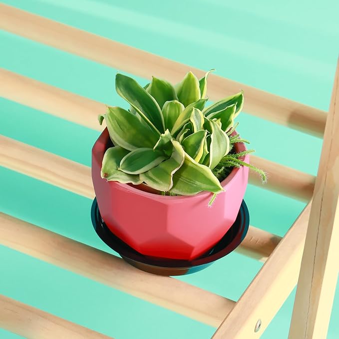 40 Pack 4 Inch Plant Saucer, Black Plant Saucers for Indoors No Holes, Plastic Plant Saucer for Plant Pots Plant Water Catcher Tray, Small Flower Pot Saucers Bulk Plant Drip Trays for Potted Plants