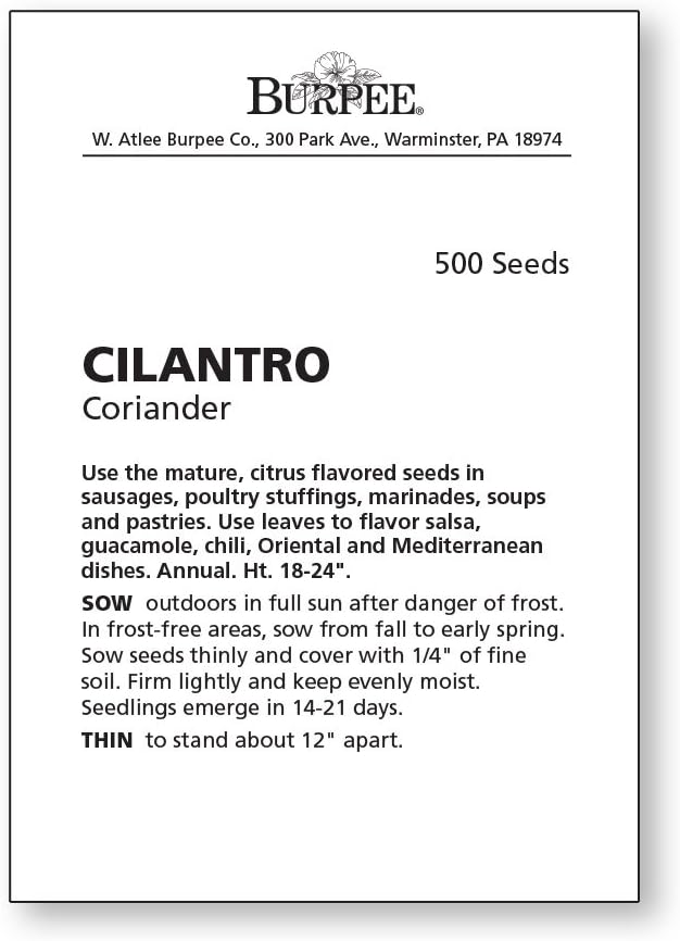 Burpee 'Coriander' Cilantro 500 Seeds