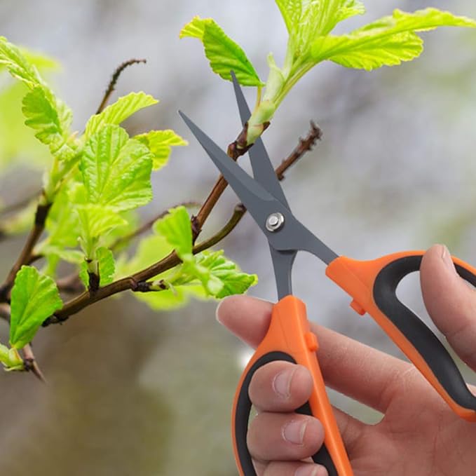 GROWNEER 6 Packs Trimming Scissors Teflon Coated Non Stick Blades Pruning Shears Gardening Hand Pruning Snips with Straight Stainless Steel Precision Blade