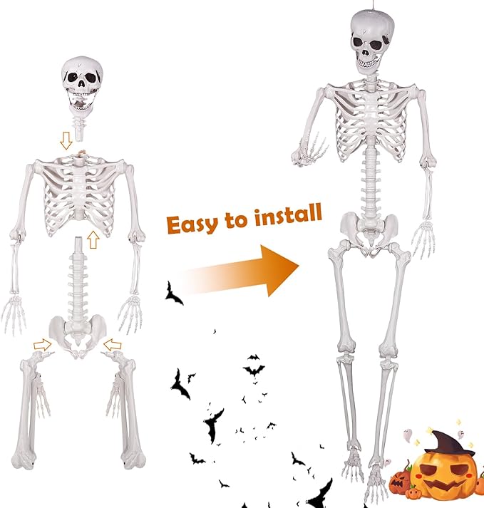 Halloween Skeleton, Realistic Life Size Skeleton with Movable Joints for Halloween Party Haunted House Indoor Outdoor Decoration (5.9ft-2P)
