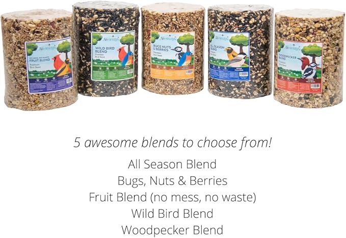 JCs Wildlife Bugs Nuts and Berries Premium Bird Seed Large Cylinder with Hole, 3.8 lb (1)