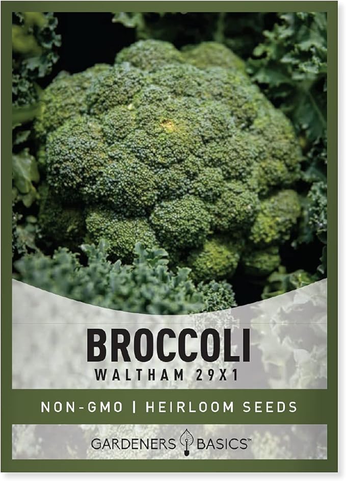 Gardeners Basics, Broccoli Seeds for Planting is A Great Heirloom, Non-GMO Vegetable Variety- 1 Gram Seeds Great for Outdoor Spring, Winter, and Fall Gardening
