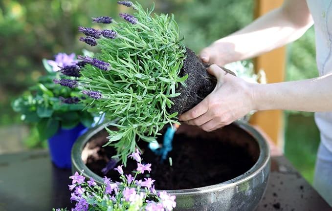 Gardenera Premium Moisture Control Potting Mix - Get The Perfect Balance of Moisture and Nutrients for Your Plants! - 20 Quart