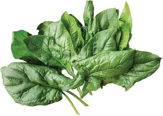Burpee A La Carte Hybrid Spinach Seeds 300 seeds