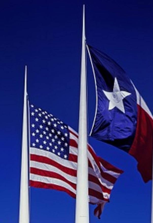Texas Flag 4x6 – 100% Made in USA Heavy Duty Outdoor Embroidered Nylon, Weatherproof Texas State Flag with Brass Grommets, American Patriotic Banner for House, Boat, Garden, or Porch