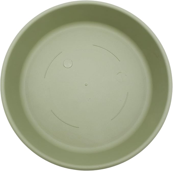 The HC Companies 8 Inch Round Plastic Classic Plant Saucer - Indoor Outdoor Plant Trays for Pots - 8.5"x8.5"x1.5" Seafoam